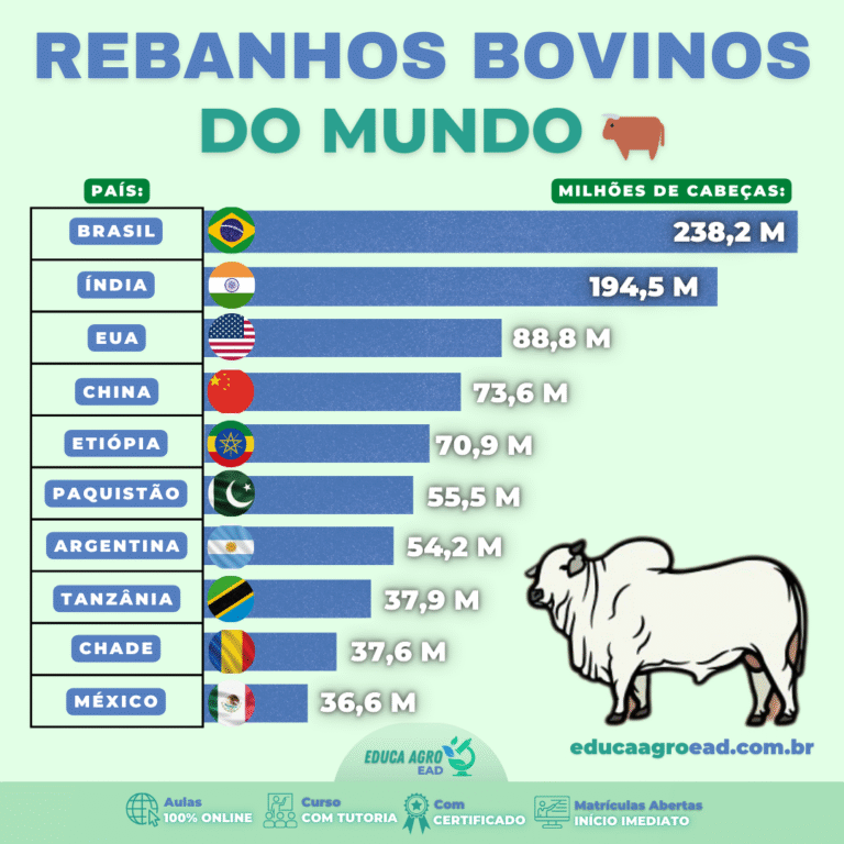🌍🐂 Rebanhos Bovinos do Mundo: Quem Lidera a Pecuária Global?
