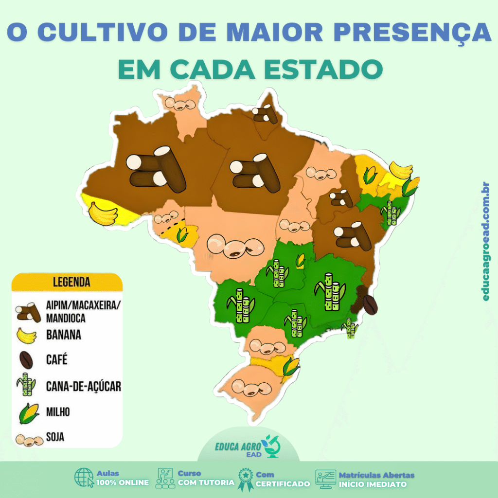🌎 O cultivo de maior presença em cada estado brasileiro