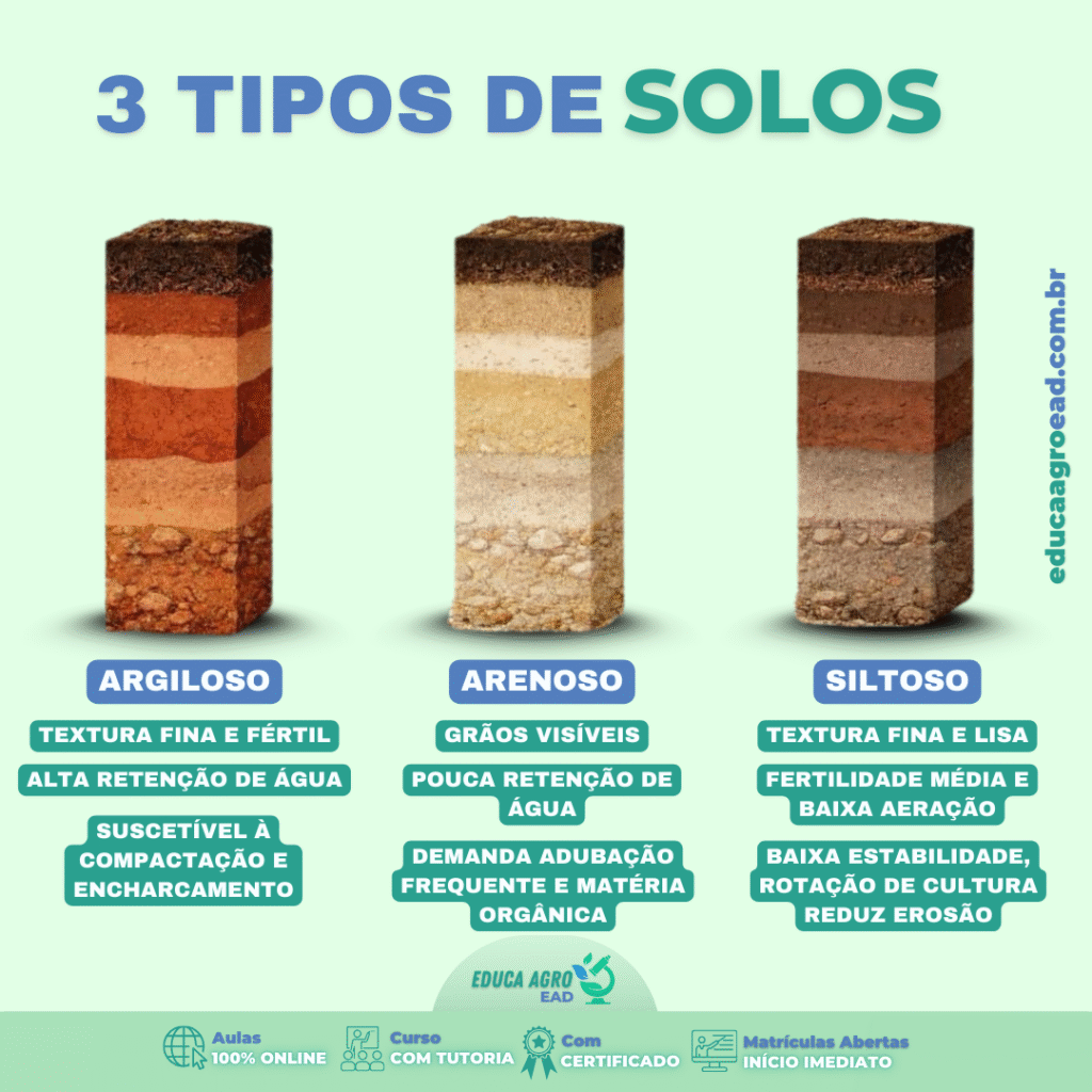 3 Tipos de Solos Mais Comuns no Brasil e Como Eles Influenciam a Produção Agrícola