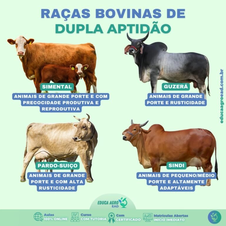 Raças Bovinas de Dupla Aptidão: Versatilidade na Produção de Carne e Leite 🥩🥛