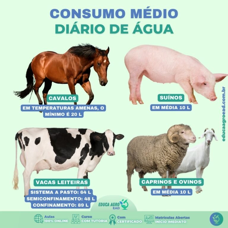 💧 Consumo Médio Diário de Água na Criação Animal