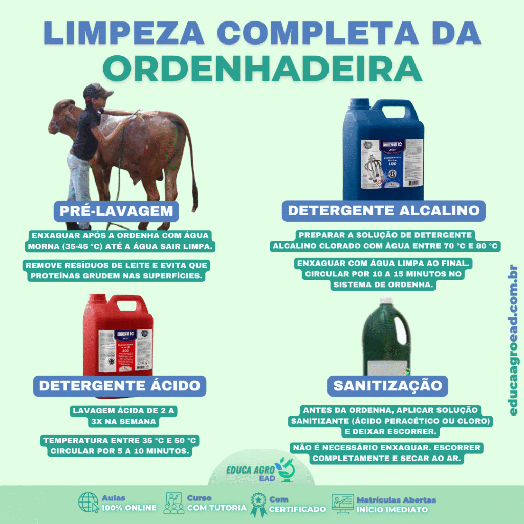 Limpeza completa da ordenhadeira: passo a passo para garantir qualidade do leite