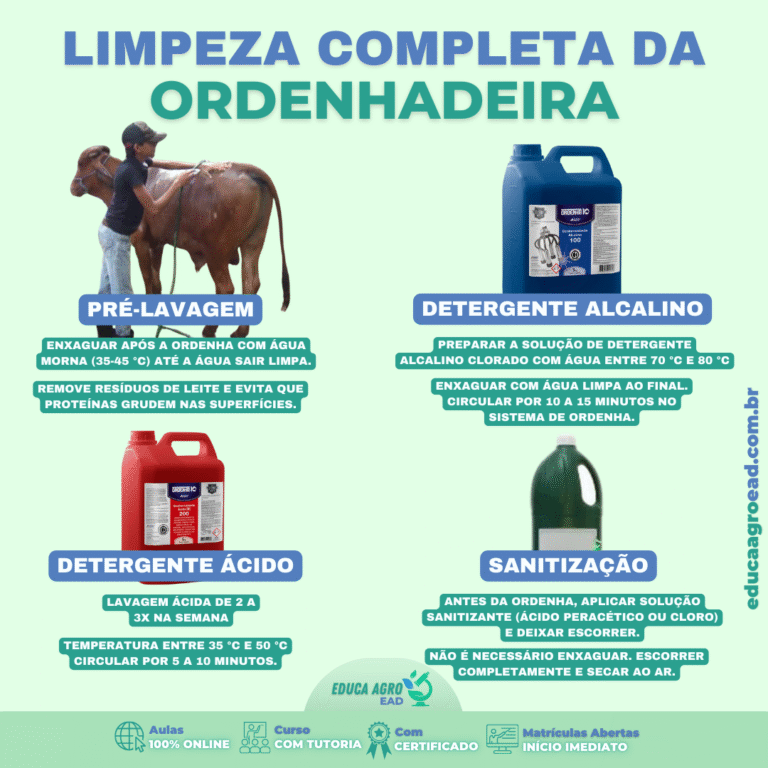 Limpeza completa da ordenhadeira: passo a passo para garantir qualidade do leite
