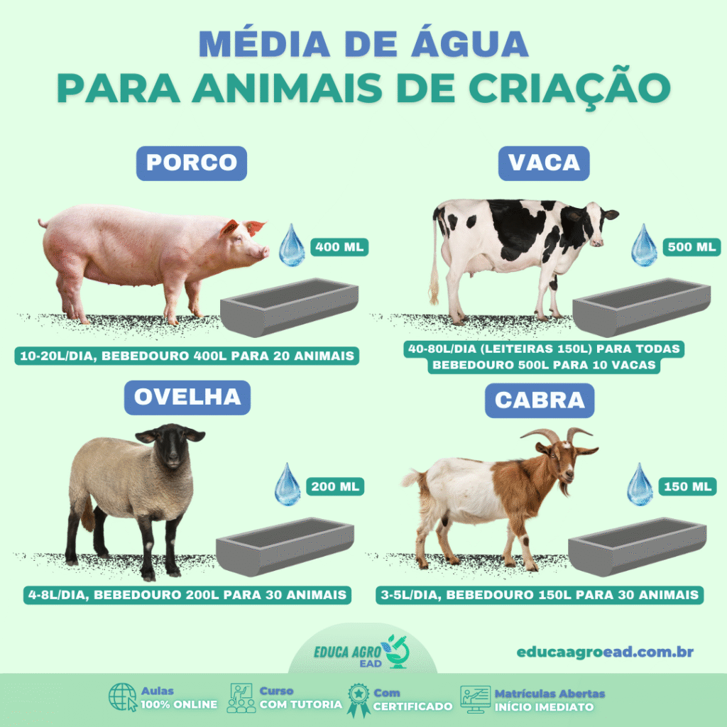 A Importância da Água na Criação de Animais de Produção