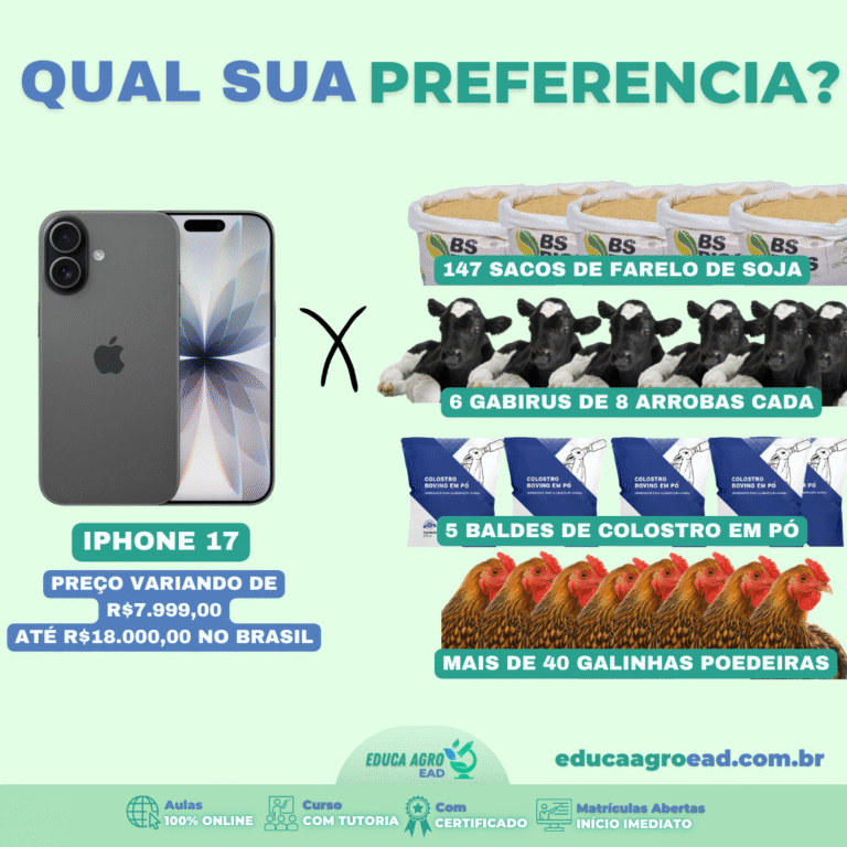 Consumo ou Investimento? Uma Análise Técnica da Alocação de Capital na Propriedade Rural