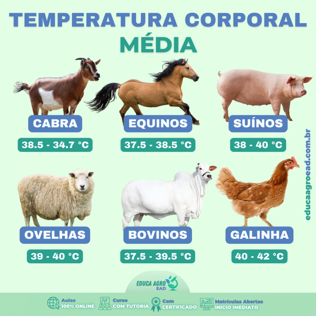 Temperatura Corporal Média dos Principais Animais de Produção