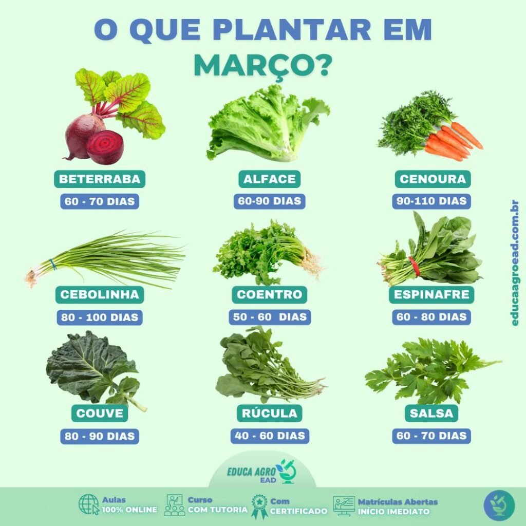 🌱 O Que Plantar em Março? Guia Completo Para Planejar Sua Produção