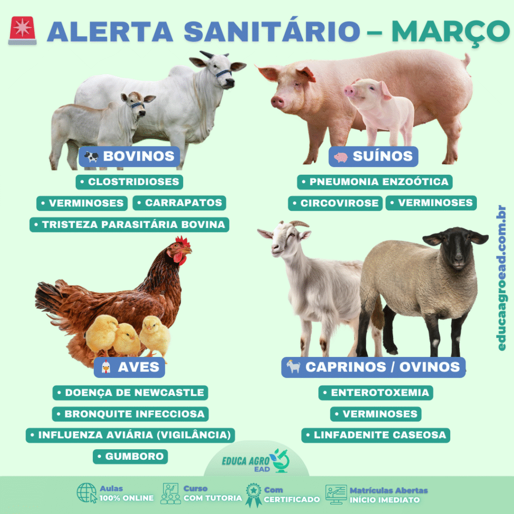 🚨 Alerta Sanitário – Março