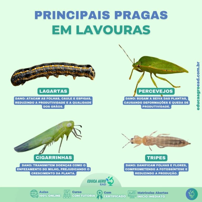 A presença de pragas nas lavouras é uma das principais causas de perdas na agricultura.