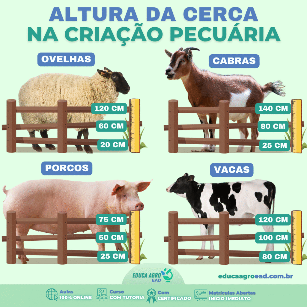Altura ideal da cerca na criação pecuária: saiba como evitar fugas e prejuízos