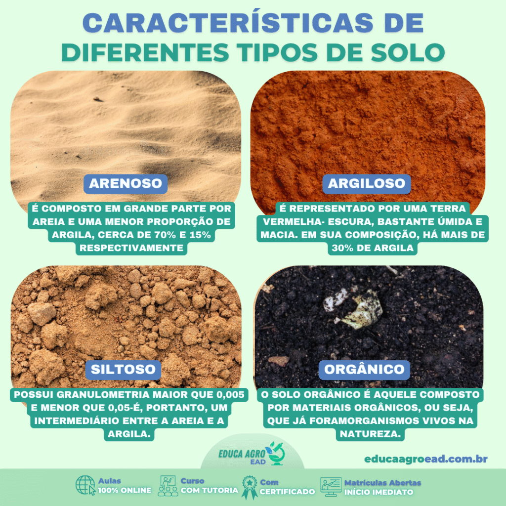 🌱 Características dos Diferentes Tipos de Solo e Como Eles Influenciam na Produção Agrícola