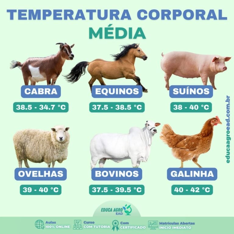 Temperatura Corporal dos Principais Animais de Produção