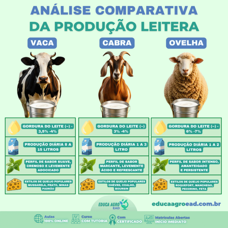 🥛 Leite de vaca, cabra ou ovelha: qual faz mais sentido para a sua propriedade?