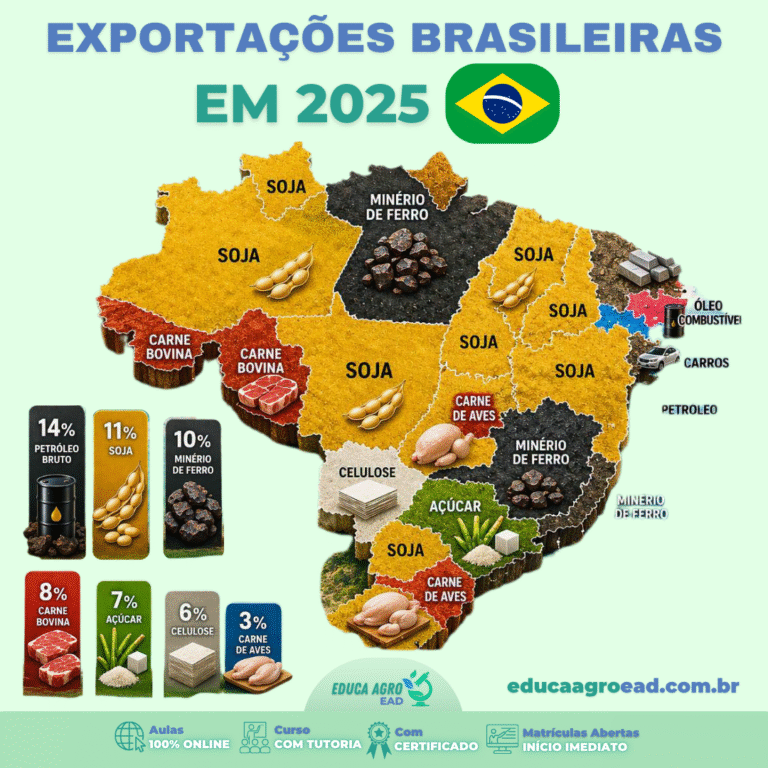 🌎 O Brasil continua sendo um dos países mais importantes do mundo quando o assunto é exportação
