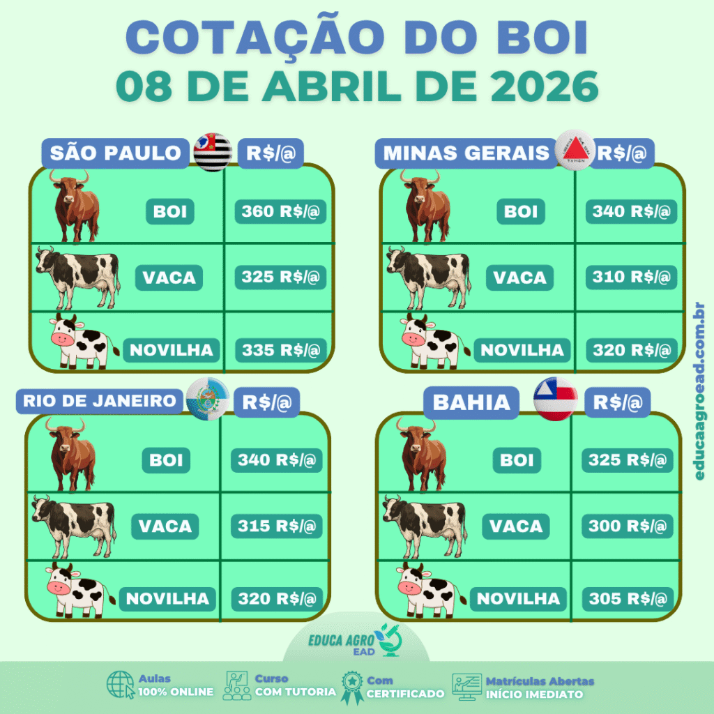 📊 Cotação do Boi – 08 de Abril de 2026