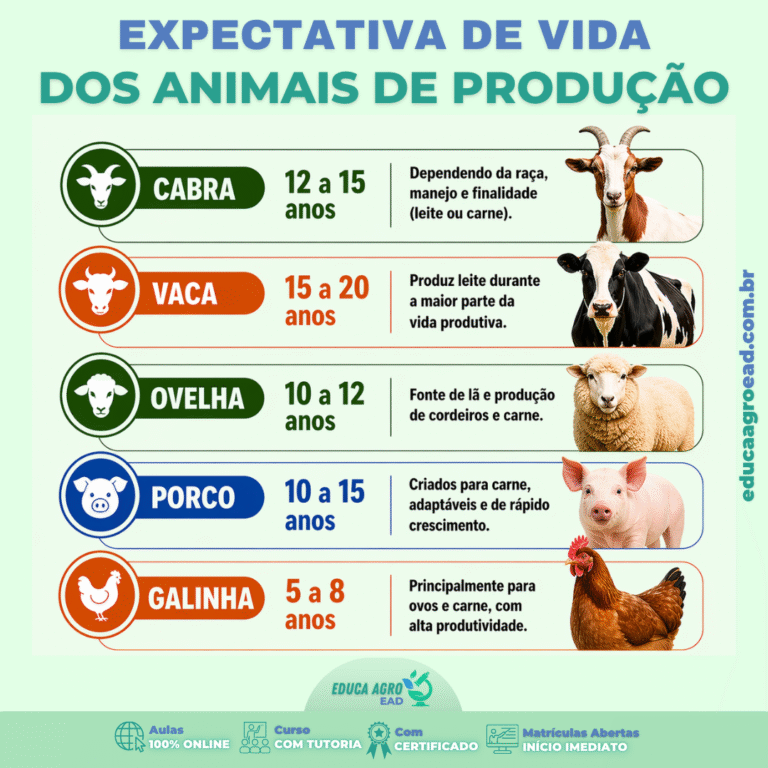 🌱 Expectativa de Vida dos Animais de Produção: o que você precisa saber
