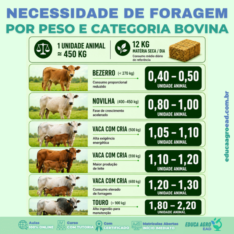 🌱 Necessidade de forragem por peso e categoria bovina: como planejar corretamente