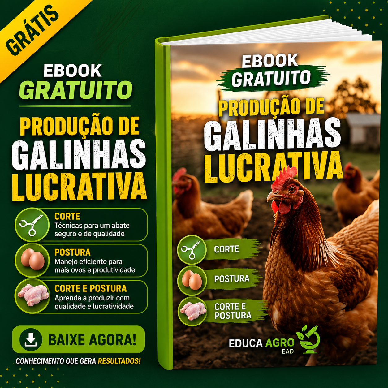 Ebook Produção de Galinhas Lucrativa