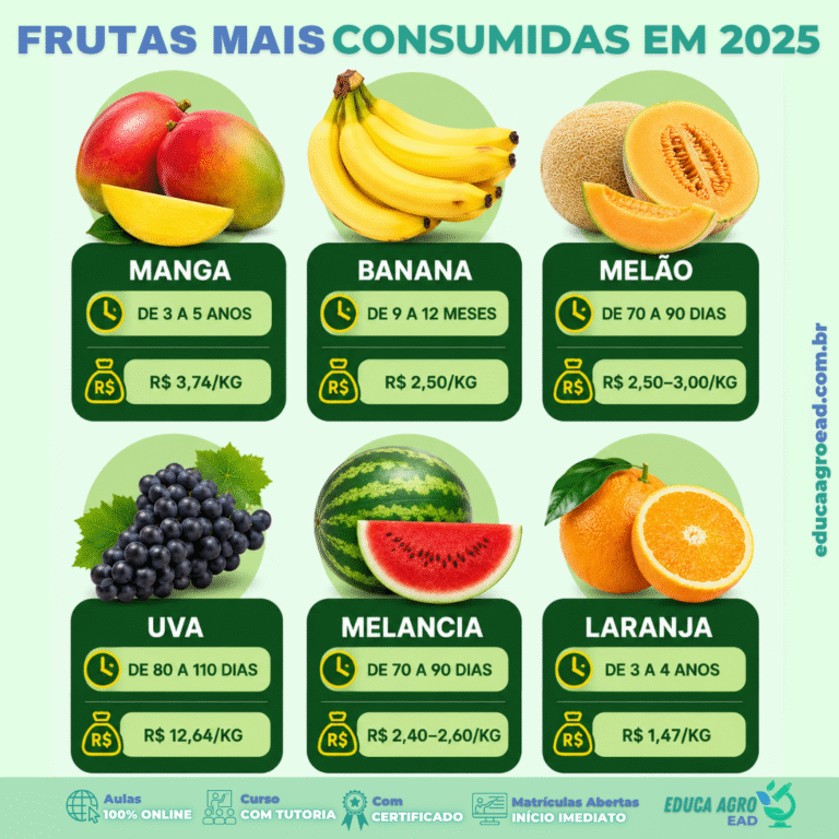 🍉 Frutas mais consumidas no Brasil em 2025: o que o mercado revela sobre oportunidades na fruticultura