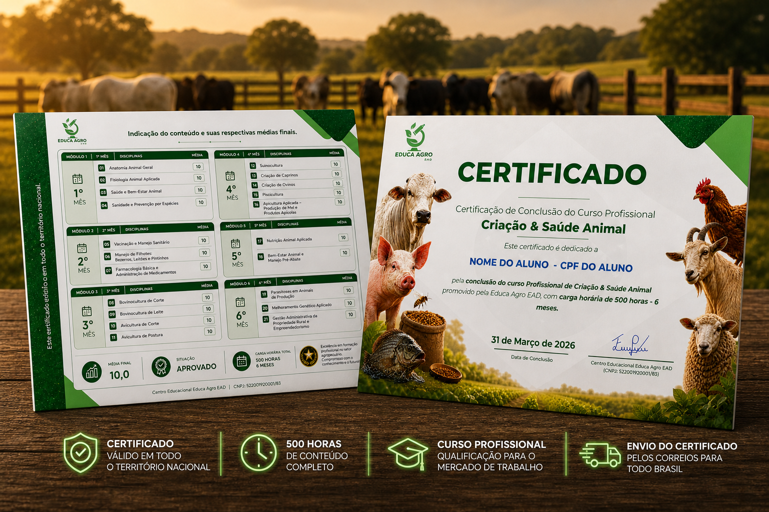 Certificado Profissional Educa Agro EAD