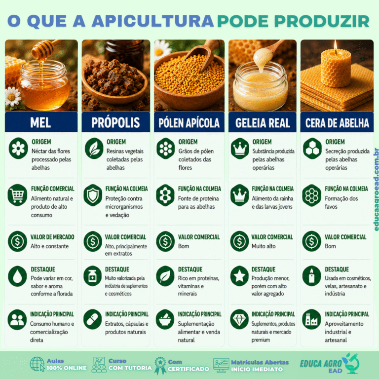 🍯 O que a apicultura pode produzir: conheça os principais produtos da colmeia