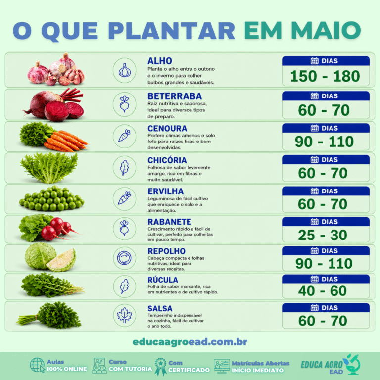 🌱 O Que Plantar em Maio: Culturas Ideais para Produzir Mais no Outono/Inverno