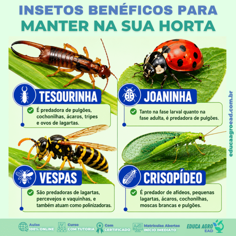 🌿 Insetos benéficos para manter na sua horta: aliados naturais no controle de pragas