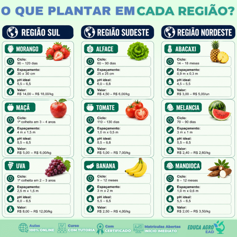 🌱 O que plantar em cada região do Brasil? Guia técnico com ciclo, espaçamento, pH e valor de mercado