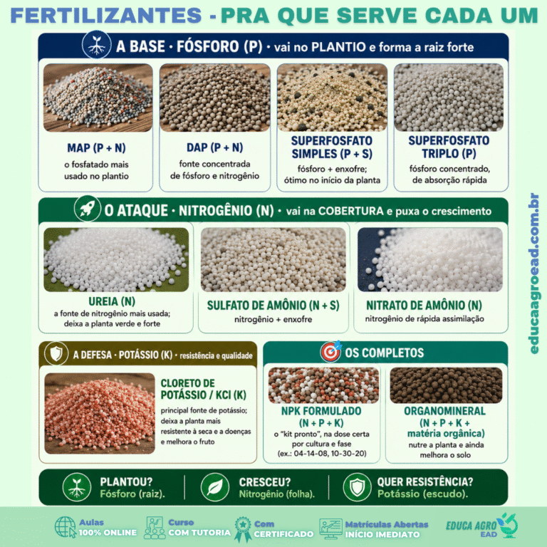🌱 Fertilizantes: para que serve cada um (e quando usar)