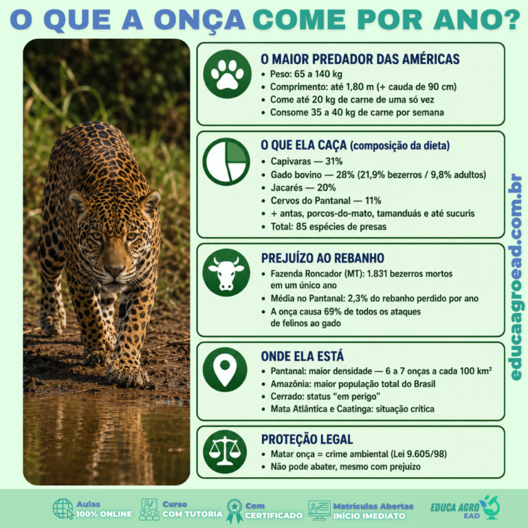 🐆 O Que a Onça-Pintada Come por Ano? O Impacto do Maior Predador das Américas na Pecuária