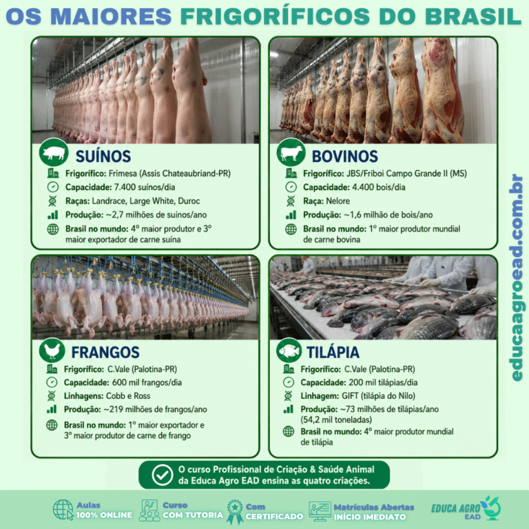🏭 Os Maiores Frigoríficos do Brasil: a Escala Real da Criação Animal