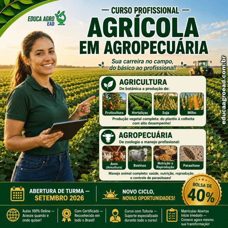 O campo brasileiro cresce a cada safra ;