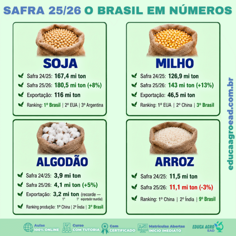 🌾 Safra 25/26: O Brasil em Números — Produção, Exportação e Ranking Mundial