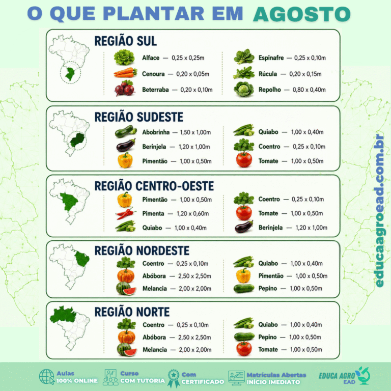 👉 Agosto é o mês que mais engana quem planta. O inverno tá acabando, o calor começa a voltar em algumas regiões, mas a umidade ainda não chegou.