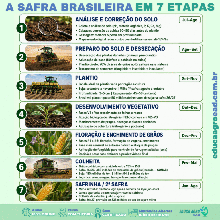 A safra brasileira movimentou 358 milhões de toneladas de grãos em 2025/26 —