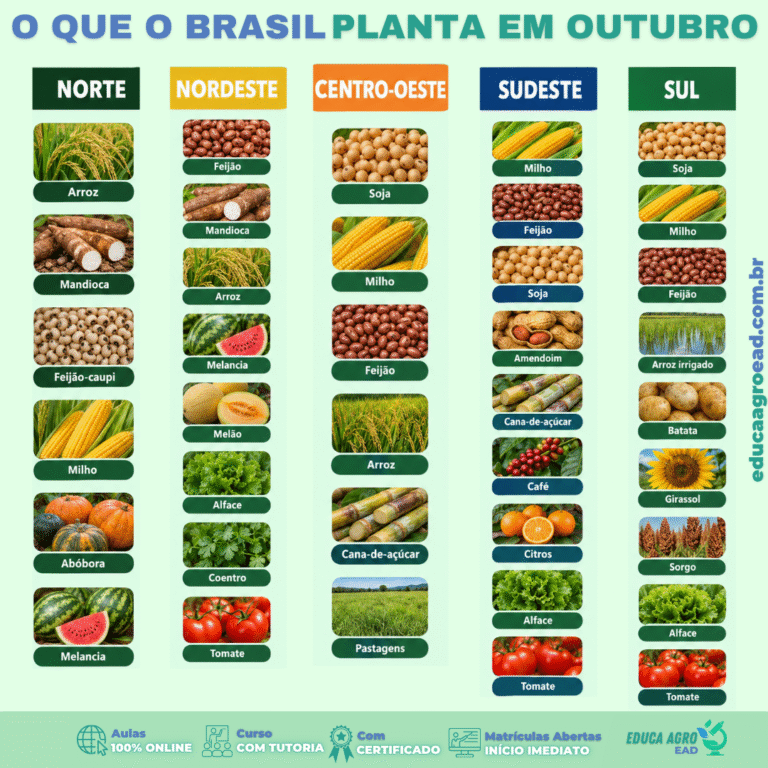 O Que o Brasil Planta em Outubro: Guia Completo Por Região
